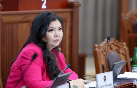М.Нарантуяа-Нара: Явж, явж МАН-н засгаа бүтэн авах гэсэн санаархал болоод явчлаа