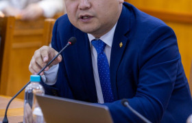 Иргэдийн төлсөн нэмэгдсэн өртгийн албан татварыг шаталсан хэлбэрээр 100 хүртэл хувиар буцаан олгоно