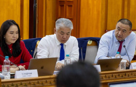 Төрийн өмчит дулааны цахилгаан станцуудад онцгой дэглэм тогтоож ажиллах чиглэл өглөө