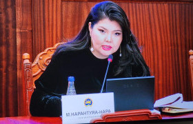 УИХ-ын 2 байнгын хороо, 1 дэд хороо, парламентын 2 бүлгийн дэд дарга, 4 бүлгийн гишүүнээр ажиллалаа