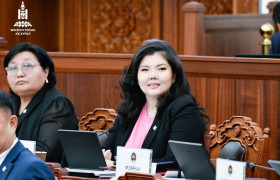 УИХ-ын чуулганы нэг жилийн хугацаанд 20 ажлын хэсэгт орж ажилсан байна
