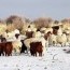 Уламжлалт мал аж ахуй, газар тариалангийн бүс нутгийн хөгжлийг тэнцвэртэй авч явах ёстой