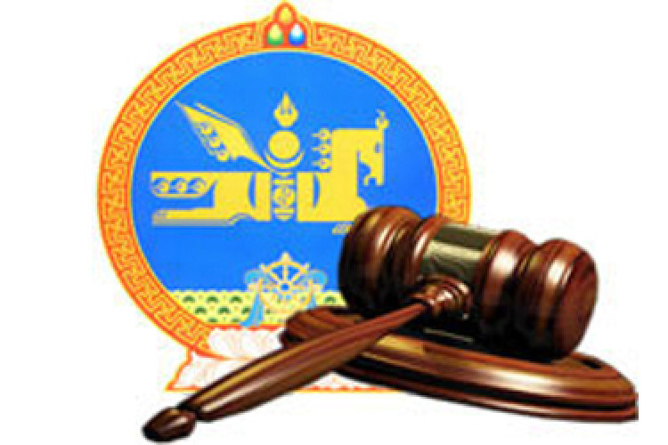 Төлбөрийн чадваргүйдлийн тухай хуулийн төслийг өргөн мэдүүллээ