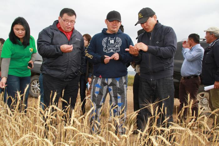 Х.Баттулга: Хоёр хөршдөө буудай экспортлох боломжтой