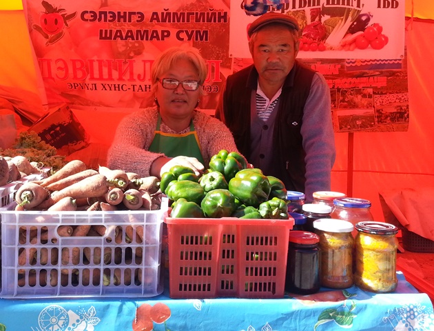 Иргэд Хятад, Монгол ногоогоо ялгахгүй байна