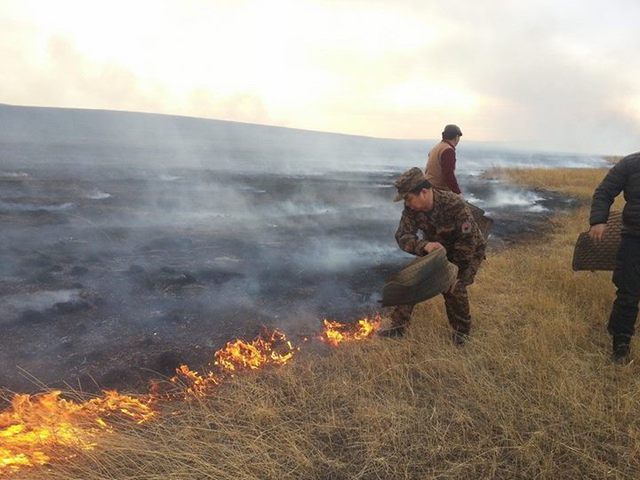 Зэвсэгт хүчнийхэн түймрийн голомтод ажиллаж байна