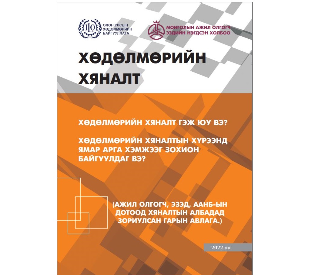 "Хөдөлмөрийн хяналт" сэдэвт гарын авлага хэвлэгдлээ