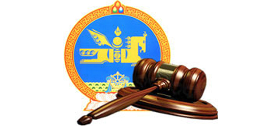 Төлбөрийн чадваргүйдлийн тухай хуулийн төслийг өргөн мэдүүллээ