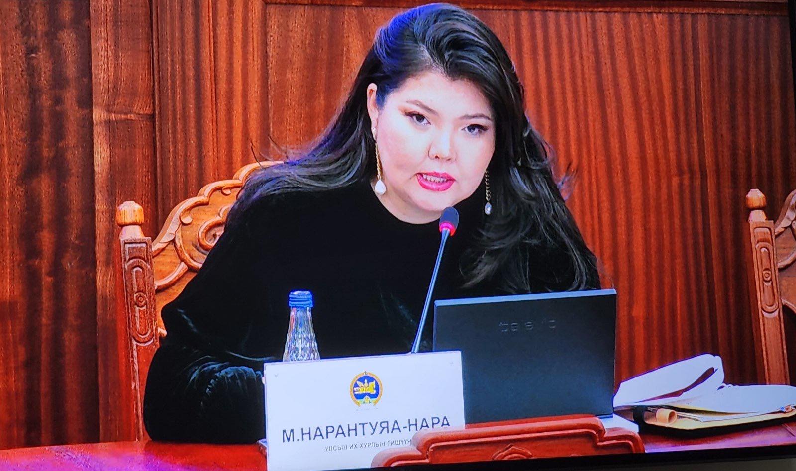 УИХ-ын 2 байнгын хороо, 1 дэд хороо, парламентын 2 бүлгийн дэд дарга, 4 бүлгийн гишүүнээр ажиллалаа